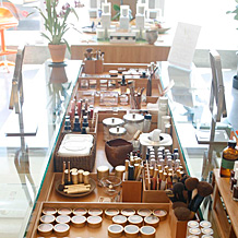 makeup to go blog makeup los angeles makeup san francisco natural beauty organic vert los angeles