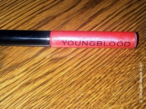 makeup to go blog makeup los angeles makeup san francisco makeup lessons Youngblood Cosmetics Lip Gloss Youngblood Cosmetics Endless Beauty event