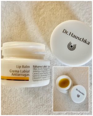 Elizabeth Fox makeup to go blog Los Angeles San Francisco Las Vegas makeup artist blog five favorite products right now dr hauschka lip balm